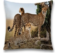 Декоративная наволочка JoyArty sl_21745