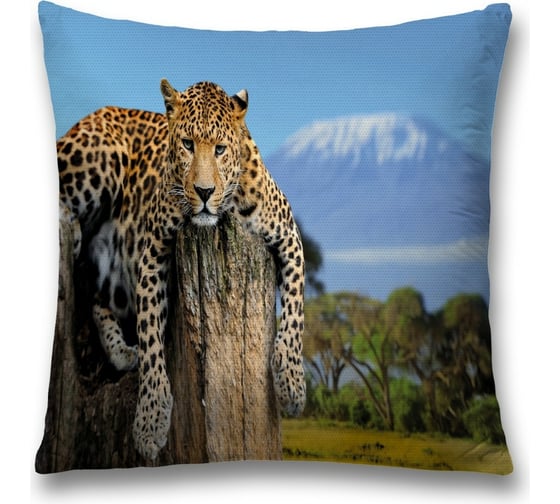 Декоративная наволочка JoyArty sl_21752