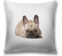 Декоративная наволочка JoyArty sl_60795