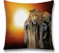 Декоративная наволочка JoyArty sl_16487