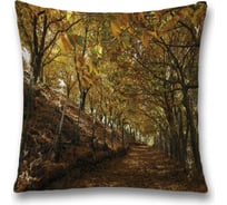 Декоративная наволочка JoyArty sl_32379