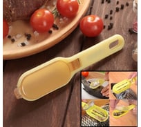 Рыбочистка Доляна Золотая рыбка 2 в 1, с контейнером, 17 см 3105595