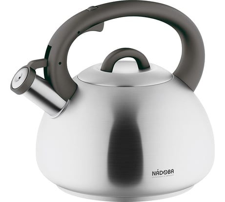 Чайник со свистком NADOBA MAGDA 3,8 л, 731501