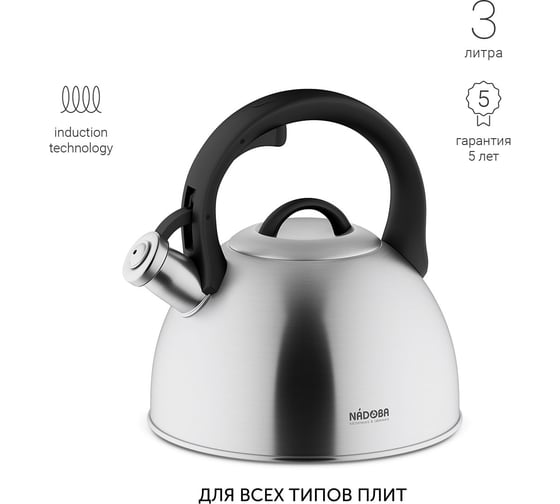 Чайник со свистком NADOBA IRMA 3 л, 731401