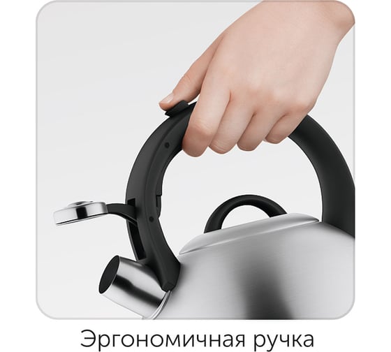 Чайник со свистком NADOBA IRMA 3 л, 731401