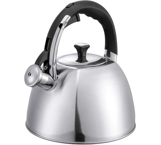 Чайник Willmark WTK-4025SS Матовый 2001463