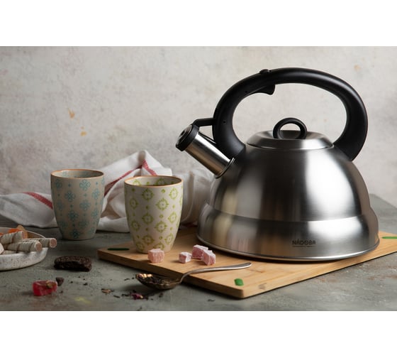 Чайник со свистком NADOBA BERNA 4,0 л, 731101