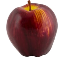 Декоративное яблоко Волшебная страна 004624