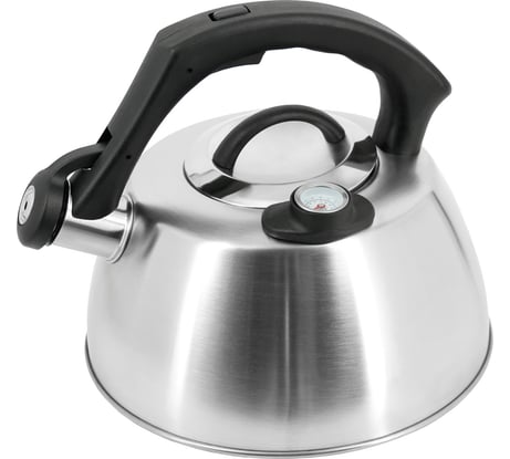 Чайник со свистком Pomi d'Oro 2,5 л P-650205 Napoli