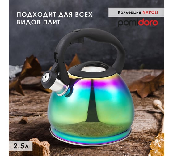 Чайник со свистком Pomi d'Oro 2,5 л P-650207 Napoli