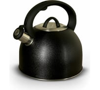 Чайник со свистком Pomi d'Oro 2,5 л P-650184 Santa