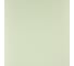 Рулонная штора PRAKTO PLAIN 60x150 см, фисташковый 6531366 4