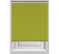 Рулонная штора PRAKTO Blackout Silver 55x160 см, зеленый 7799156