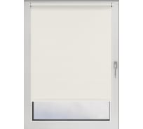 Рулонная штора PRAKTO Easy 65x250 см, белый 8316454