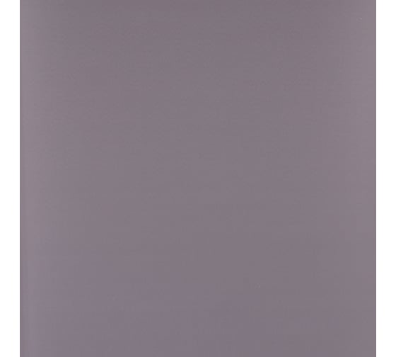 Рулонная штора PRAKTO PLAIN 50x150 см, серый 6531397
