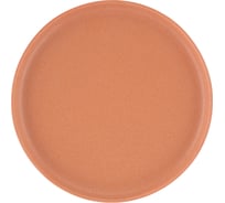 Тарелка BILLIBARRI Old Clay, матовая розовая 21 см 500-274 806203403300