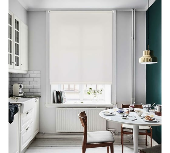 Рулонная штора PRAKTO PLAIN 50x150 см, белый 6531144