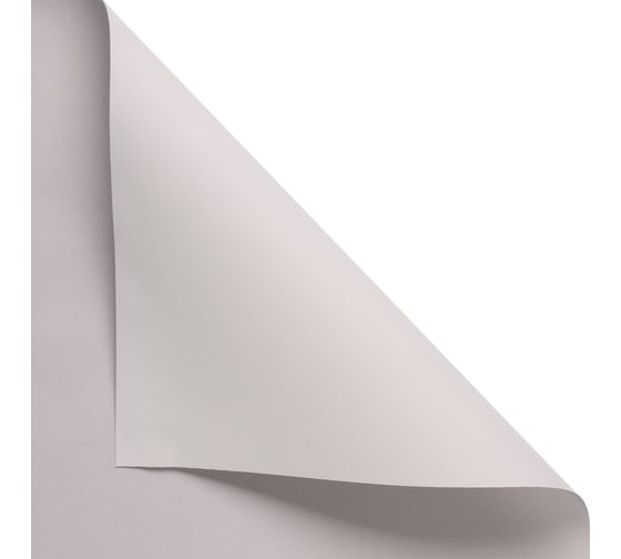 Рулонная штора PRAKTO Blackout Silver 55x160 см, светло-бежевый 7799118