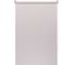 Рулонная штора PRAKTO Blackout Color 55x160 см, светло-серый 8314221 12
