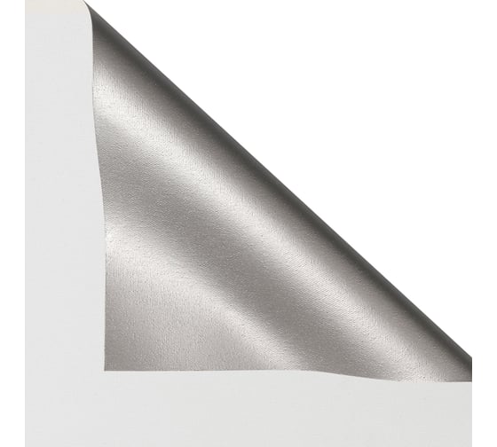 Рулонная штора PRAKTO Blackout Silver 55x160 см, белый 7799101