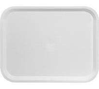 Прямоугольный поднос BORA ДхШ 450x350 мм, пластик, белый ПЛ-BO225W