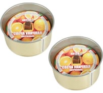Уличная свеча Антей Candle 100x52 мм, цитрусовая, 2 шт 5060004
