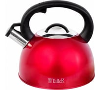Чайник TALLER Фолкнер со свистком 2,5 л, для всех типов плит TR-1382
