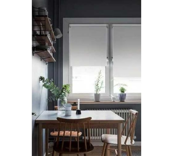 Рулонная штора Эскар Blackout, silverback, отражающий белый 57x170 см 81465057160