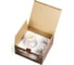 Набор PAPILIO HOME заварочный чайник 1 л с двумя кружками TGM_002-1000 2