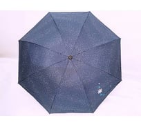 Зонт Bikson ХГ2875