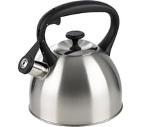 Чайник Mallony POESIA объём 2.5 л из нержавеющей стали со свистком, матовый 985617