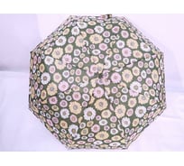 Зонт Bikson 55 см ХГ2878