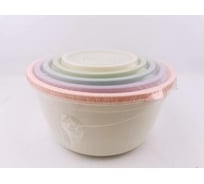 Ланч-бокс Bikson набор ТП6323