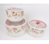 Керамические контейнеры Bikson 3 шт 13x9 см, 148x10 см, 17x12 см ТП1436