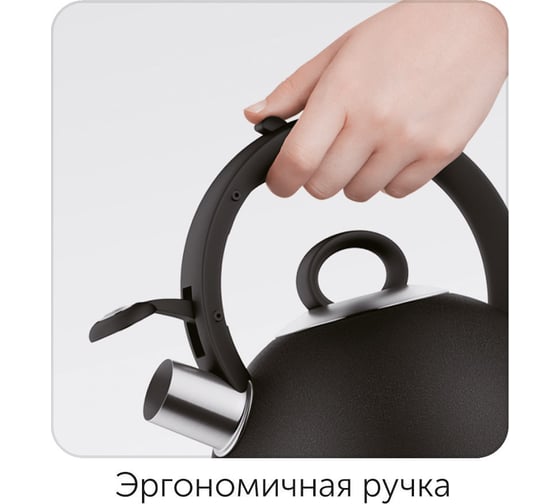 Чайник со свистком NADOBA ANESA 2,9 л, 731201