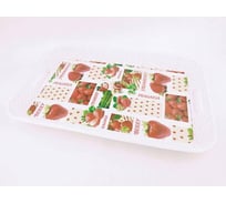 Поднос Bikson 34.5x23.5 cм 21SK198 ТП9775