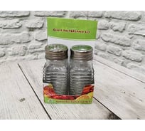 Набор для специй Bikson 2 предмета стекло G0416-91 ПС7568