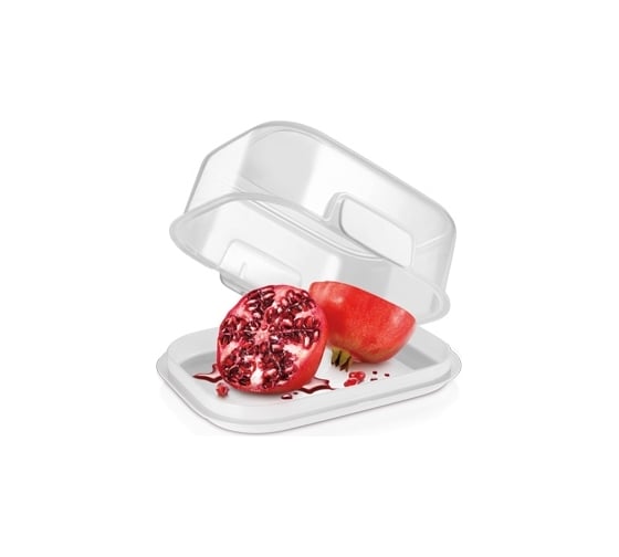 Контейнер Tescoma FreshZONE 14x10 см 891750