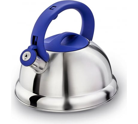 Чайник Regent inox Linea AZZURO индукция 2.6 л 93-TEA-AZ-02