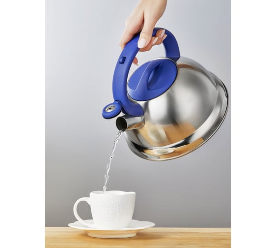 Чайник Regent inox Linea AZZURO индукция 2.6 л 93-TEA-AZ-02