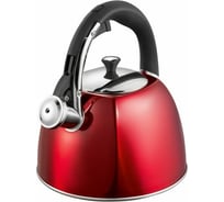 Чайник Regent inox Linea STENDAL индукция 3 л 93-TEA-SD-01