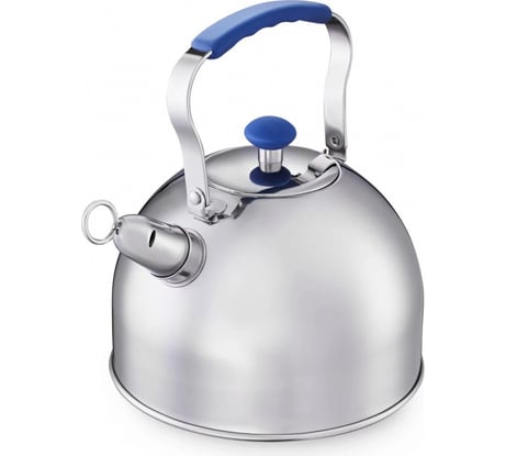 Чайник Regent inox Linea TEA 3 л 93-2507B