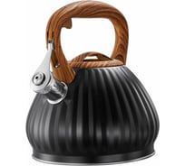 Чайник Regent inox Linea TEA 3 л 93-TEA-37