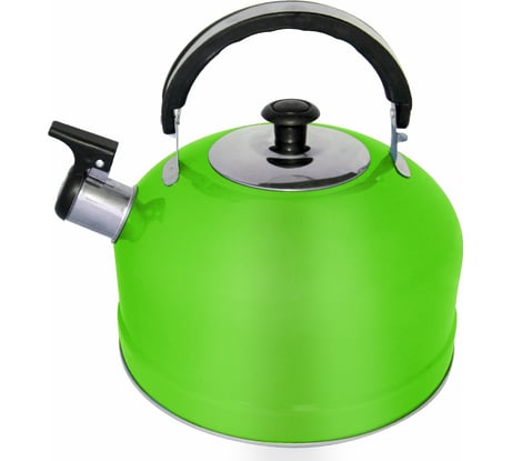 Чайник IRIT из нержавеющей стали, объем 2.5 л зеленый IRH-413