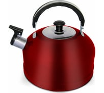 Чайник IRIT из нержавеющей стали, объем 2.5 л красный IRH-418