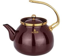 Эмалированный чайник Agness Тюдор 3 л 950-339