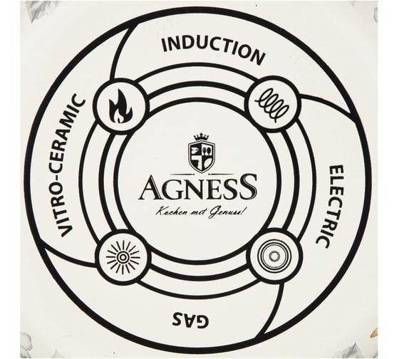 Эмалированный чайник Agness Яблоневый Сад 2.2 л для индукционных плит 950-531