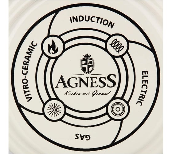 Эмалированный чайник Agness Яблоневый Сад 1 л для индукционных плит 950-533