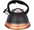 Чайник Agness Mercury со свистком, 3 л с индукционным капсульным дном 907-074 1
