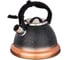 Чайник Agness Mercury со свистком, 3 л с индукционным капсульным дном 907-074 3